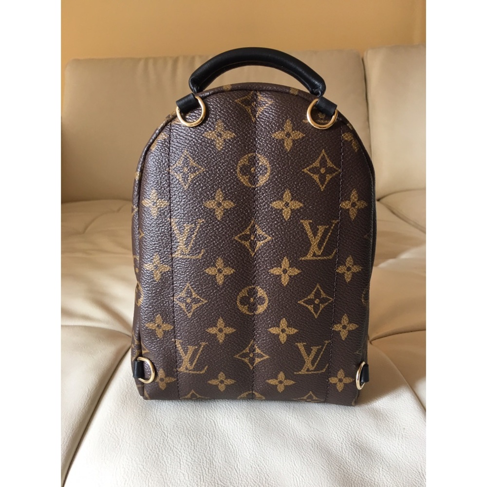Louis Vuitton Palm Springs Mini. Just ordered 4/20 - Picture 2 of 8